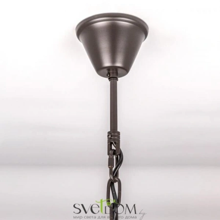 Люстры подвесныеCL332241 CITILUX | Svetdom.by