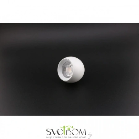 Накладные светильники Aployt APL.0055.19.05 от Магазина Svetdom.by