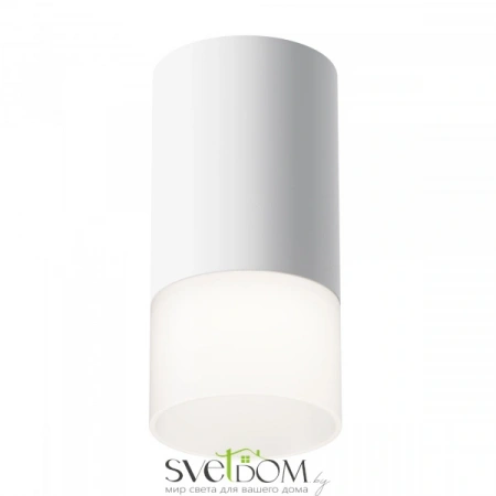 Потолочные светильники Maytoni C007CW-01W от Магазина Svetdom.by