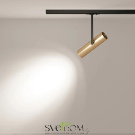 TR005-1-GU10-BG Maytoni