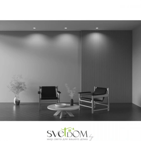 Встраиваемые светильники Maytoni DL001-WW-01-W от Магазина Svetdom.by