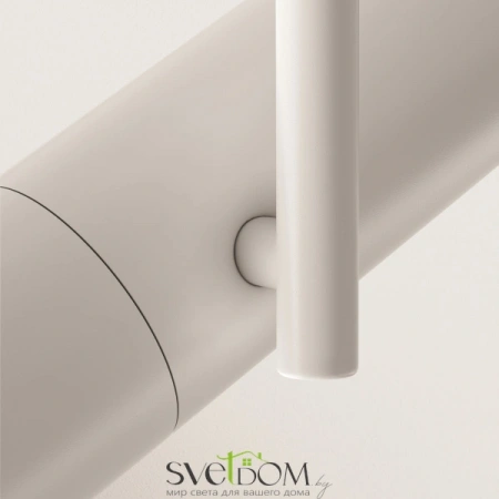 Потолочные светильники Maytoni C020CL-01W от Магазина Svetdom.by