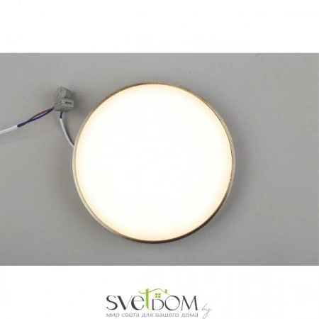 Настенно-потолочные светильники Aployt APL.0113.29.24 от Магазина Svetdom.by