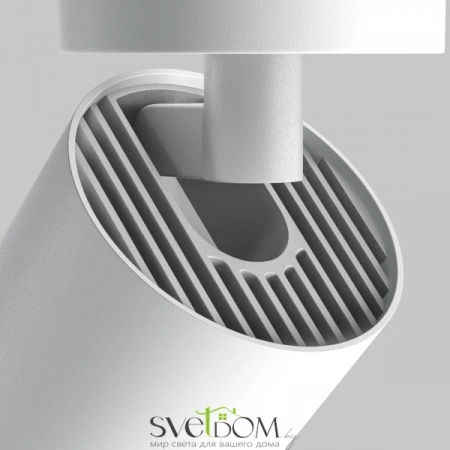 Потолочные светильники Maytoni C055CL-L12W3K-Z-W от Магазина Svetdom.by