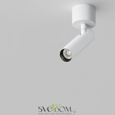 Потолочные светильники Maytoni C141CL-L125-6W4K-W от Магазина Svetdom.by