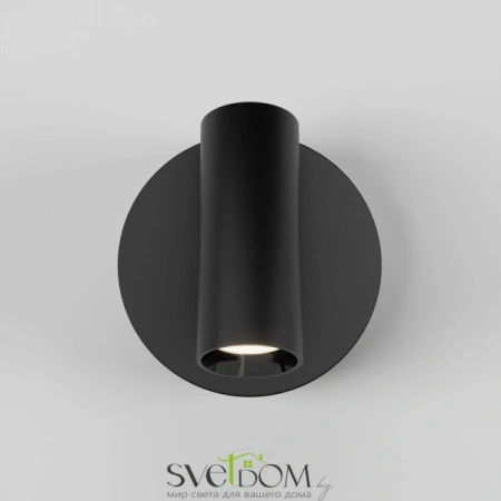 Настенные светильники C079WL-L3B3K Maytoni | Svetdom.by