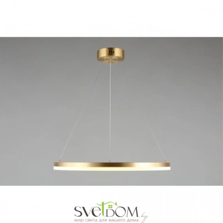 Люстры подвесныеAPL.049.13.40 Aployt | Svetdom.by