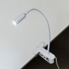 CL803060N CITILUX