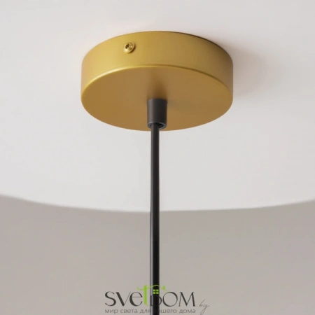 Подвесные светильники Maytoni P363PL-01G от Магазина Svetdom.by