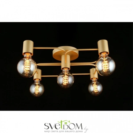 Люстры потолочныеAPL.911.07.05 Aployt | Svetdom.by