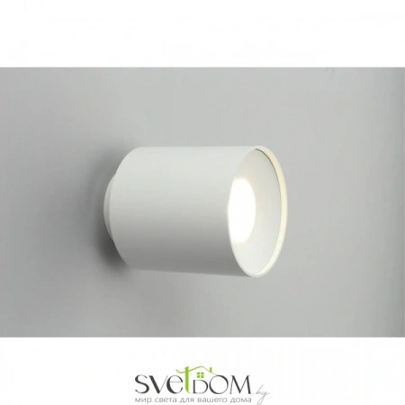 Накладные светильники Omnilux OML-100309-16 от Магазина Svetdom.by