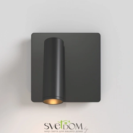 Настенные светильники C040WL-L3B3K Maytoni | Svetdom.by