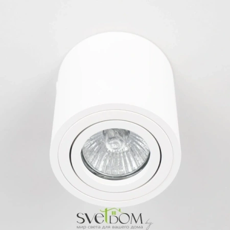 Citilux Дюрен CL538111 Светильник накладной поворотный Белый CITILUX
