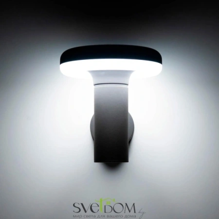 Citilux CLU01W LED Уличный настенный светильник Графит CITILUX