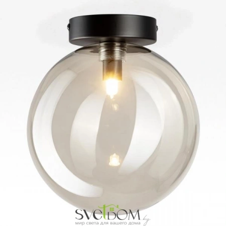 Накладные светильники CITILUX CL202511 от Магазина Svetdom.by