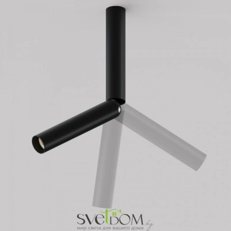 Потолочные светильники Maytoni C142CL-6W3K-B от Магазина Svetdom.by