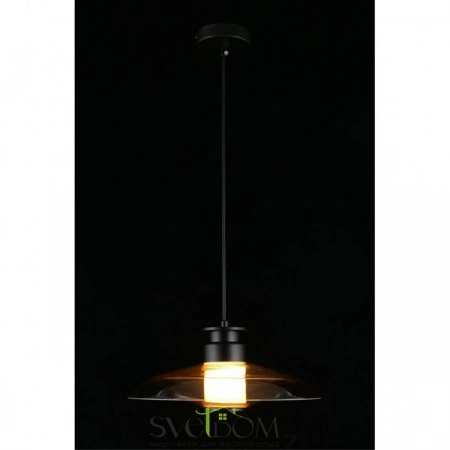 Подвесные светильники Aployt APL.648.16.10 от Магазина Svetdom.by