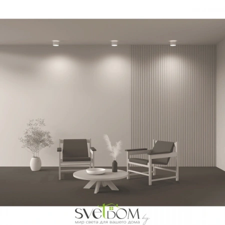 Потолочные светильники Maytoni C009CW-L16W4K от Магазина Svetdom.by