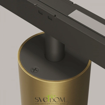 TR132-2-7W3K-BS Maytoni