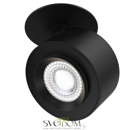 Светильники Maytoni C063CL-L12B4K от Магазина Svetdom.by