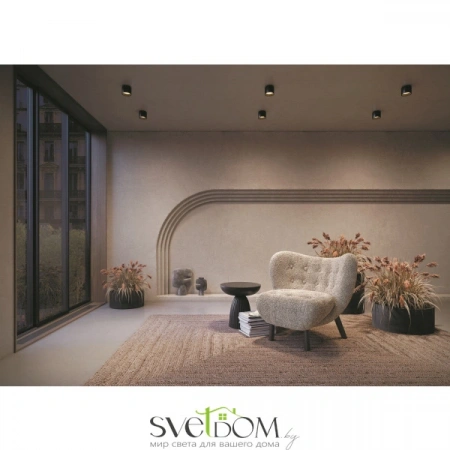 Потолочные светильники Maytoni C009CW-L12B от Магазина Svetdom.by