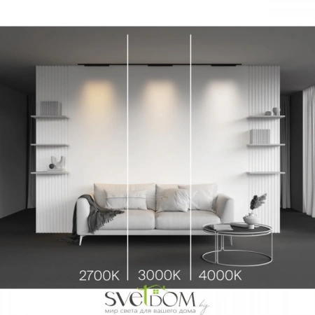 TR193-1-20W4K-M-B Maytoni