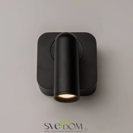 Настенные светильники C039WL-L3B3K Maytoni | Svetdom.by