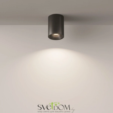 Потолочные светильники Maytoni C029CL-01B от Магазина Svetdom.by