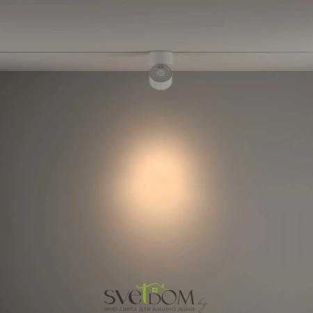 TR084-1-15W3K-W Maytoni