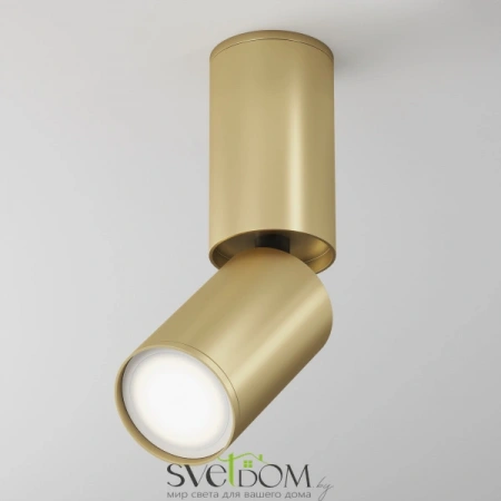 Потолочные светильники Maytoni C051CL-01G от Магазина Svetdom.by