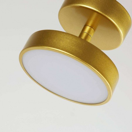 Потолочные светильники Favourite 3059-1P от Магазина Svetdom.by