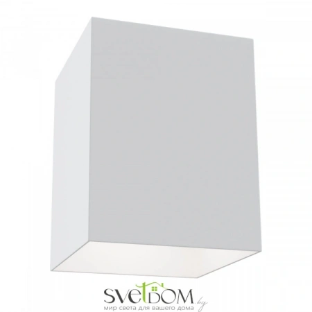 Потолочные светильники Maytoni C015CL-01W от Магазина Svetdom.by