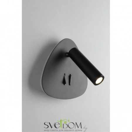 Настенные светильники OML-20821-02 Omnilux | Svetdom.by