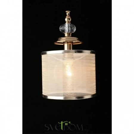 Настенные светильники APL.720.01.01 Aployt | Svetdom.by