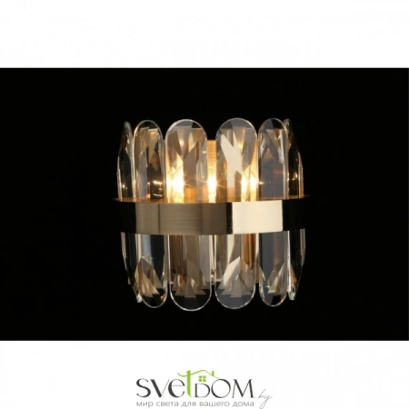 Настенные светильники APL.749.01.01 Aployt | Svetdom.by