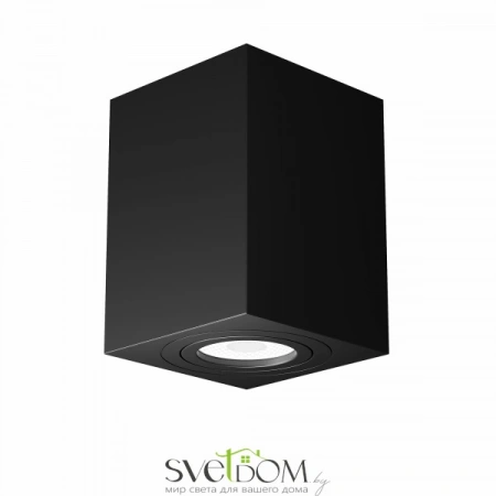 Потолочные светильники Maytoni C017CL-01B от Магазина Svetdom.by