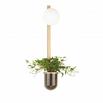 4682/1WB WALLI ODL20 589 золото/белый Настенный светильник E14 1*40W 220V FLOWER