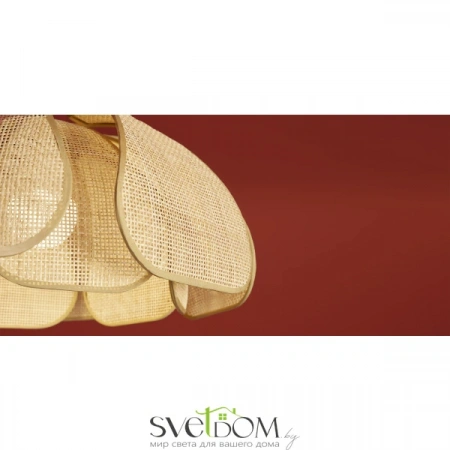 Подвесные светильники Freya FR5529PL-01B от Магазина Svetdom.by