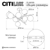 Люстра на штанге Citilux RONNY CL242193 CITILUX