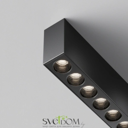 Потолочные светильники Maytoni C066CL-12W3-6K-B от Магазина Svetdom.by