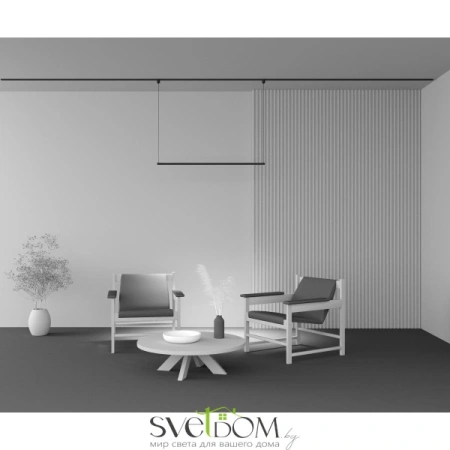Трековый подвесной светильник Technical TR170-1-52W3K-B Maytoni