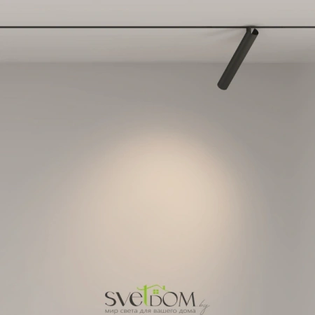 TR141-2-6W3K-M-B Maytoni