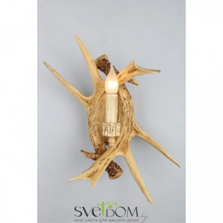 Настенные светильники OML-52001-01 Omnilux | Svetdom.by