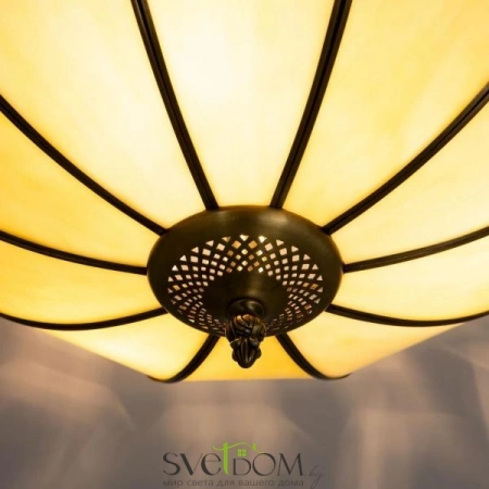 Люстры потолочныеCL440141 CITILUX | Svetdom.by