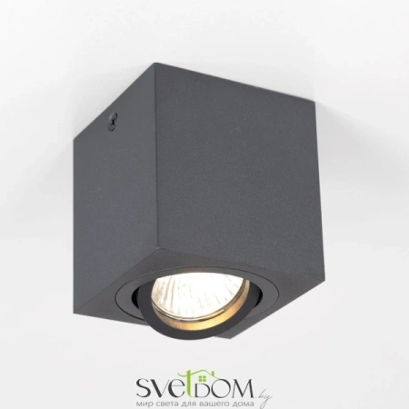 CL538213 CITILUX