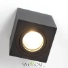 CL538213 CITILUX