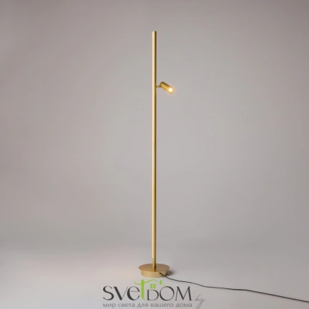 Напольный светильник (торшер) Maytoni MOD395FL-L28BS3K Maytoni