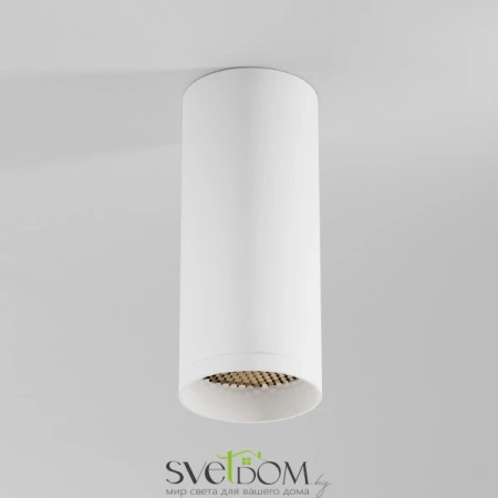 Потолочный светильник Technical C010CL-01W-N Maytoni