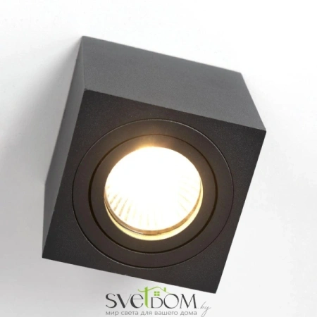 CL538213 CITILUX