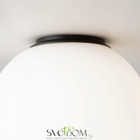 Потолочные светильники Maytoni MOD427CL-L10B3K от Магазина Svetdom.by